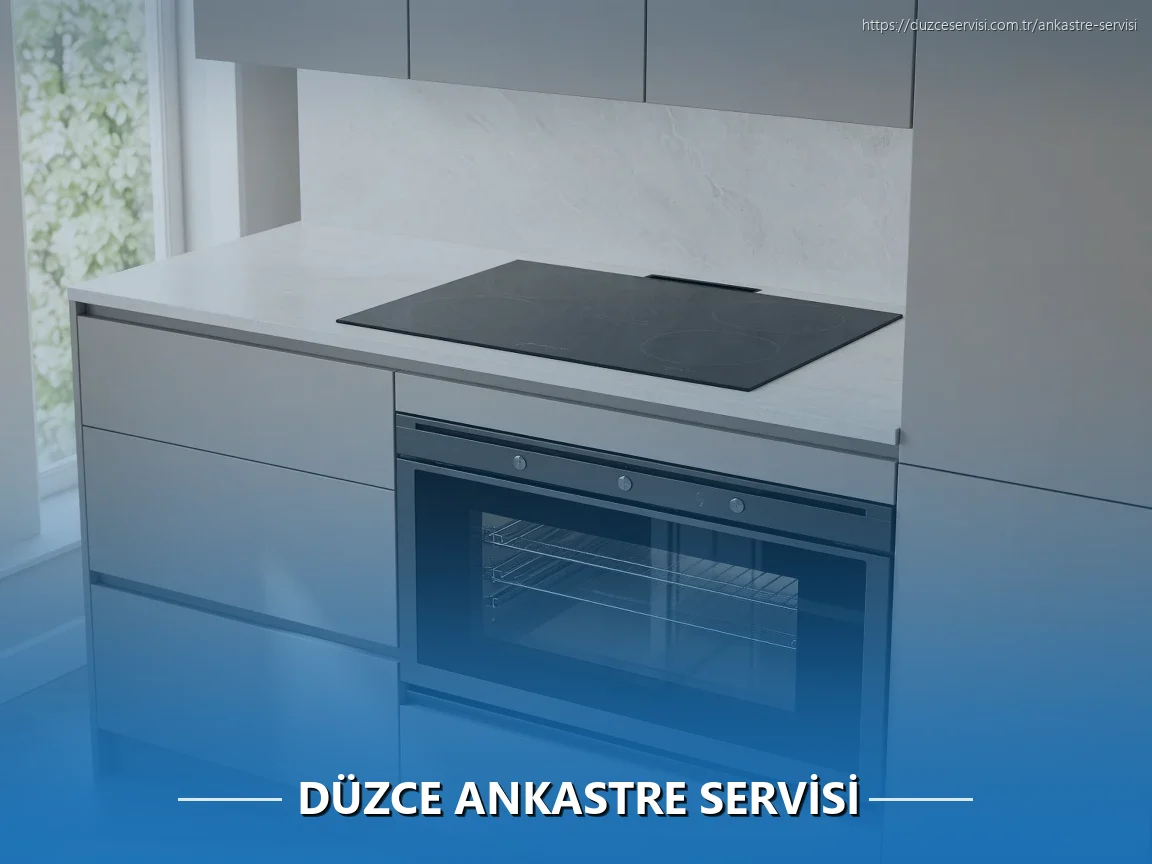 Düzce Ankastre Servisi