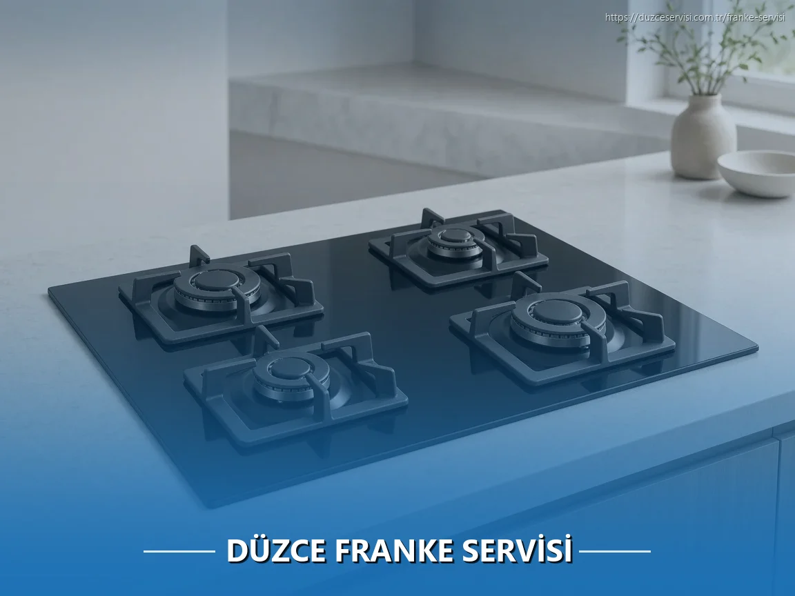 Düzce Franke Servisi